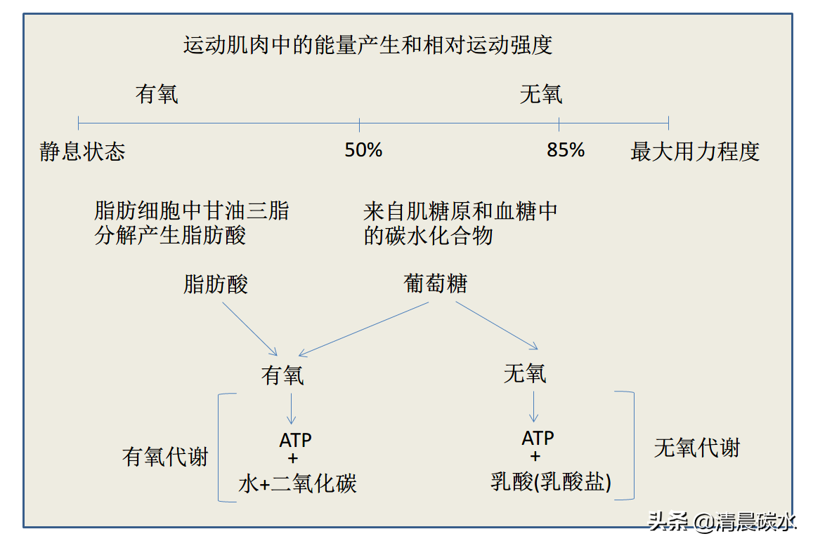 举重耗用的能源物质(搞清楚有氧与无氧的代谢问题，减脂无忧)