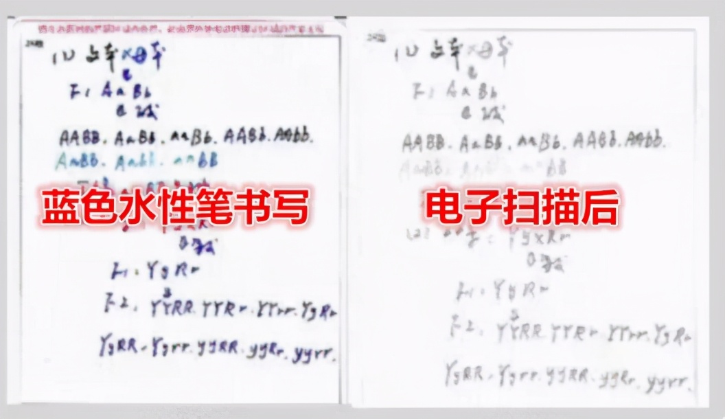 为啥高考要用“2B铅笔”？看完高考阅卷方式，学生：我爱2B铅笔