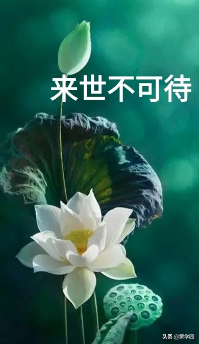 春风拂面花自开，柳绿桃红映山川