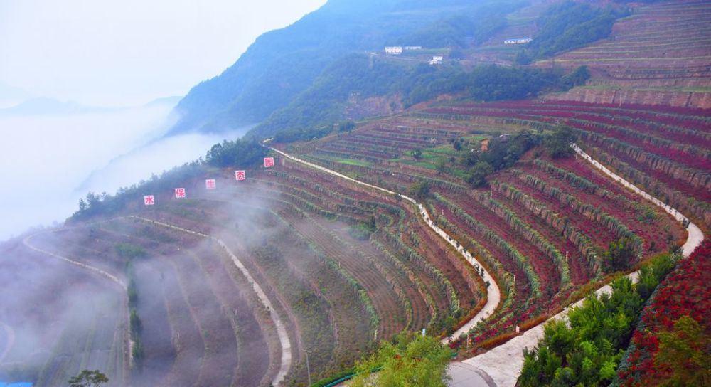 陕西省商洛、安康市5A、4A级旅游景区名录，喜欢的收藏
