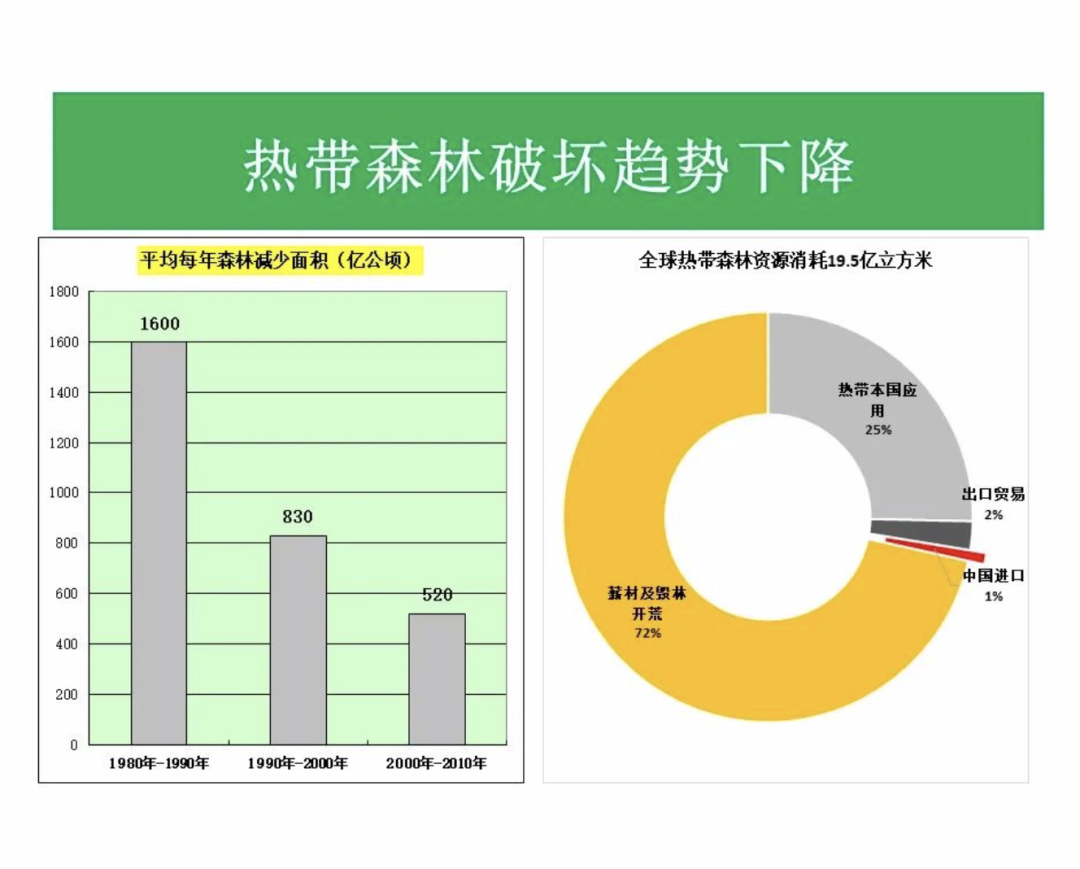 从阴谋到误读：你关于森林危机的想法可能全错了