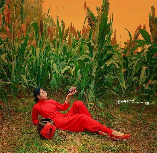 王绍祥:九儿与红高粱 | 附:李文秀 李惜雨 万玉阁 徐茂林读后感