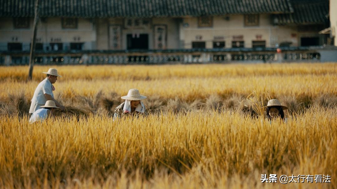 《纯真年代》：在没有手机电脑的年代里，我们怎么度过童年