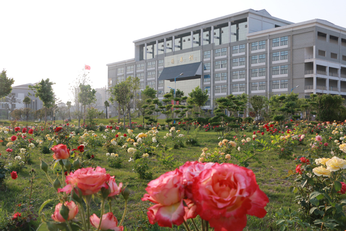 以大学命名的两所专科院校——开封大学、焦作大学2020招生计划