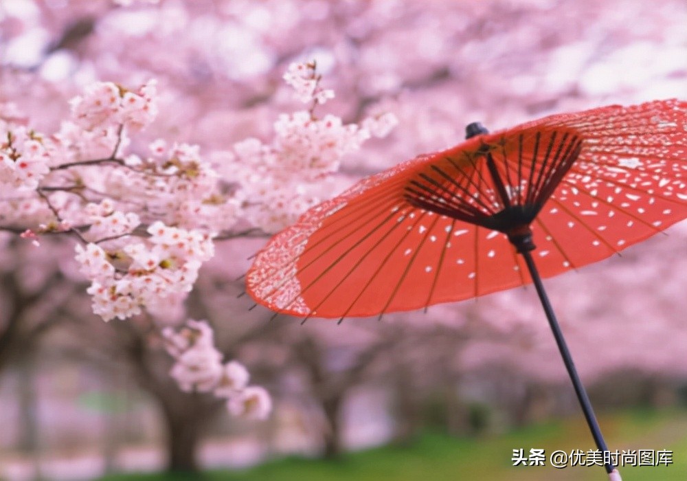分享的温柔瞬间，藏着最幸福的心情