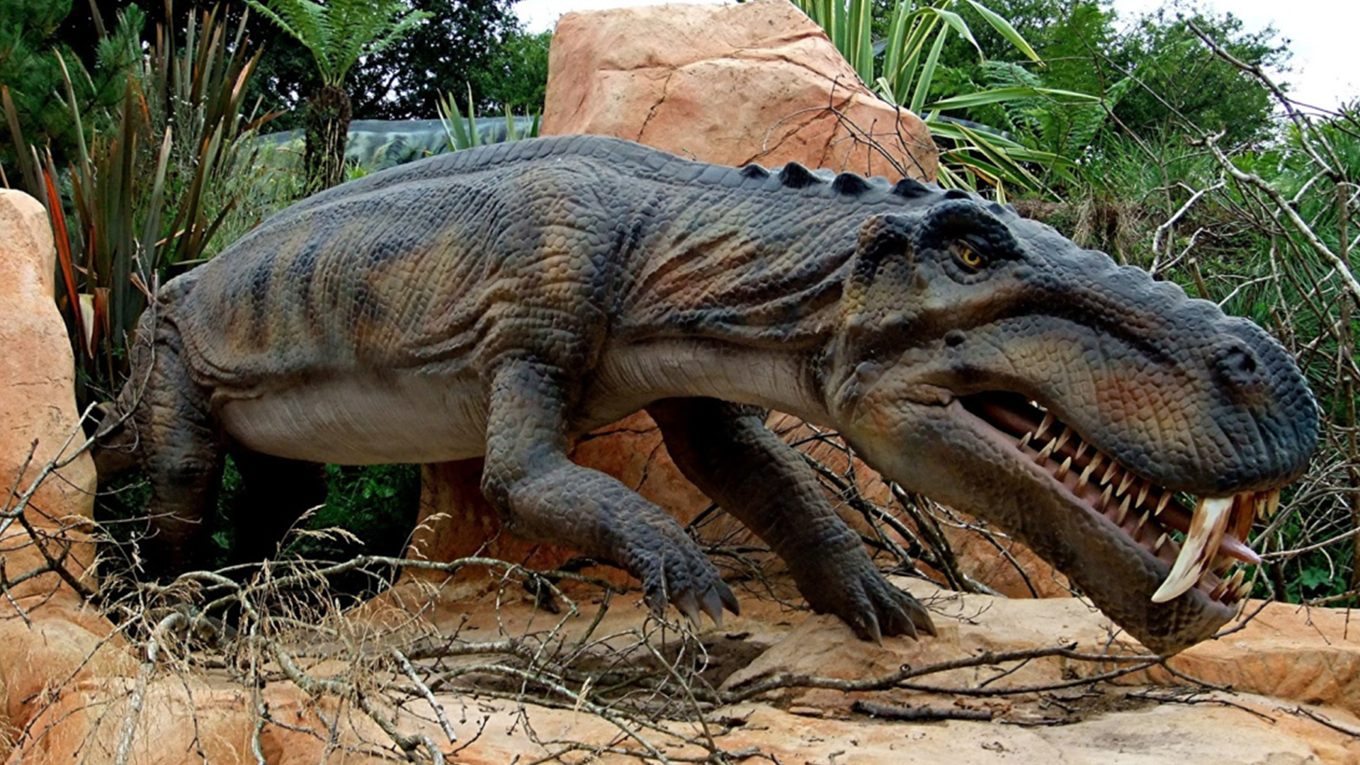 史前动物有哪些(史前动物有哪些吗21米的沧龙真的存在吗的视频) - 风