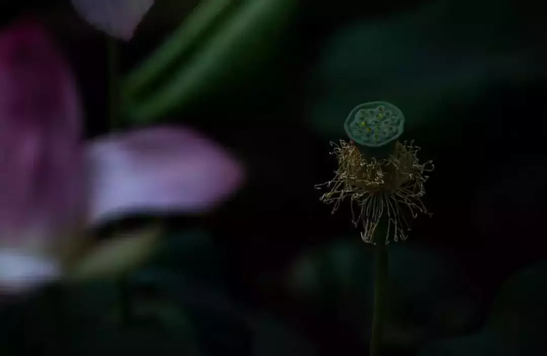 得失，天注定，聚散，天安排！天道酬勤 地道酬善 因果循环