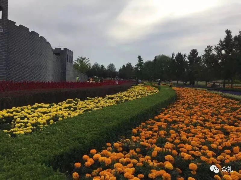 假期亲子礼品之旅游套票—北京国际鲜花港+大美儿童世界