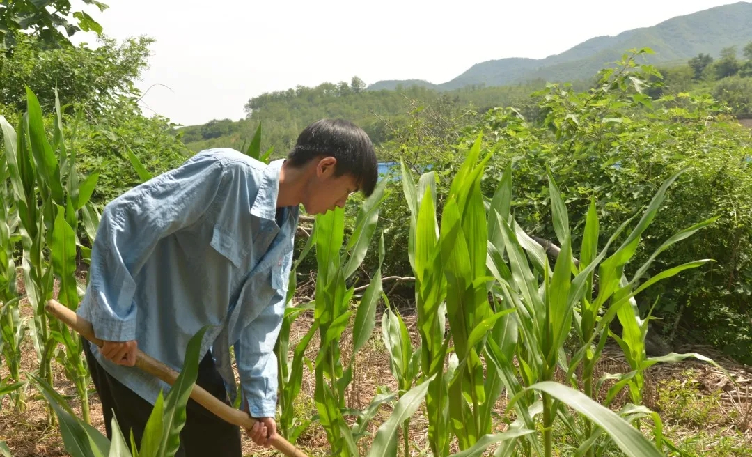 河南小伙王远航669分考入北大，专业是俄语，以后好找工作吗？