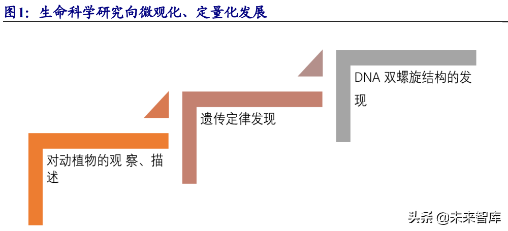 生物科研试剂行业研究：国内市场快速增长，行业百花齐放