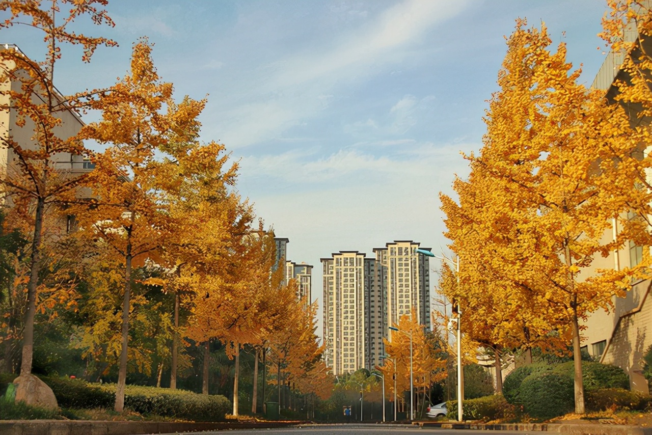 湖北中学排名“前五名”，以清华大学录取率为准，深受家长们认可