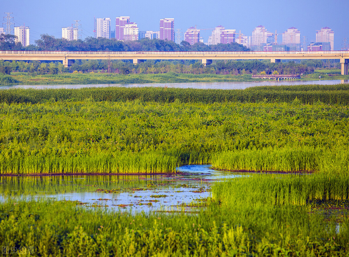 上百所公办校！宝坻区到底哪些学校适合你？