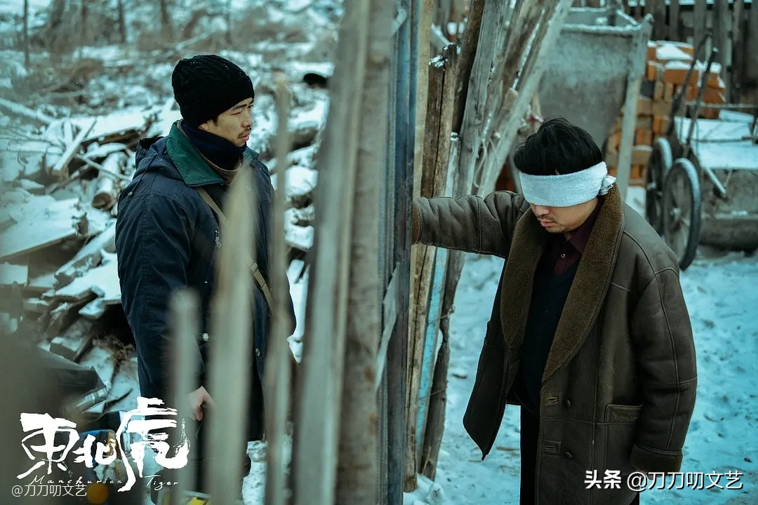 《东北虎》好猛！摘得上海电影节大奖，马丽憾失影后含泪致辞