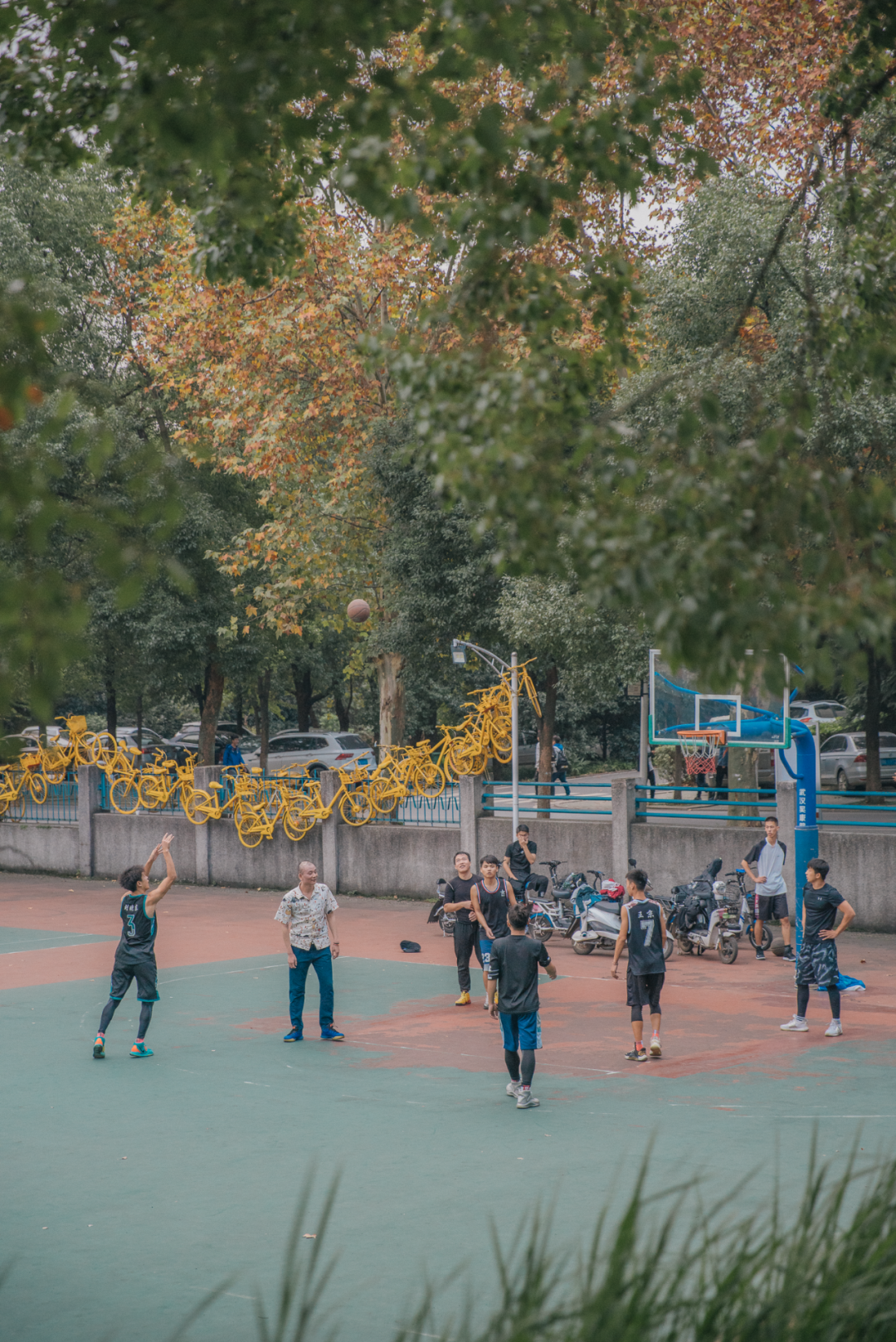 又是全国第一！华中农业大学，全体武汉人的骄傲