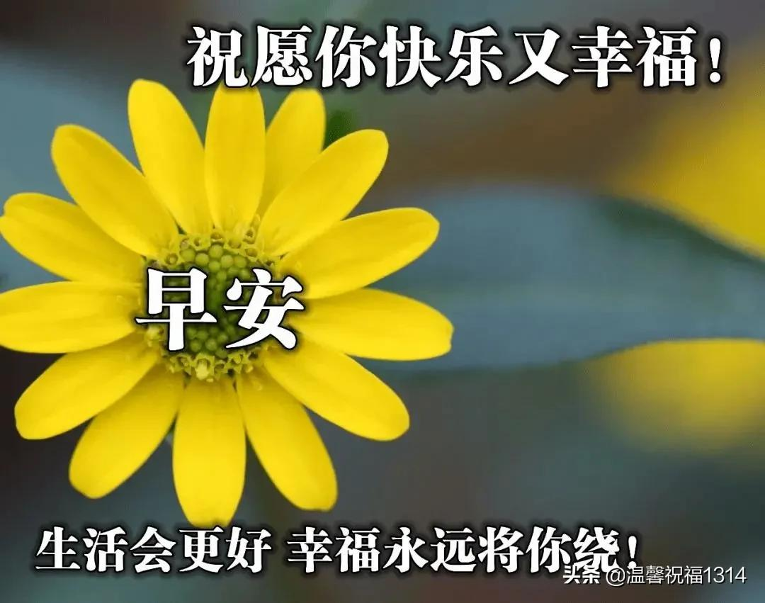 星期五清晨暖心问候祝福语句，最美的周五祝福文字图片精选