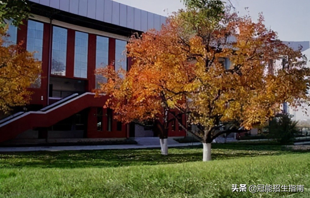 四川有哪些适合初中毕业可以就读的卫校？