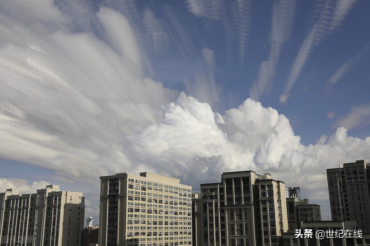 金沙湖实验学校（杭州钱塘新区下沙区块各中小学举办时间与入学预警情况）