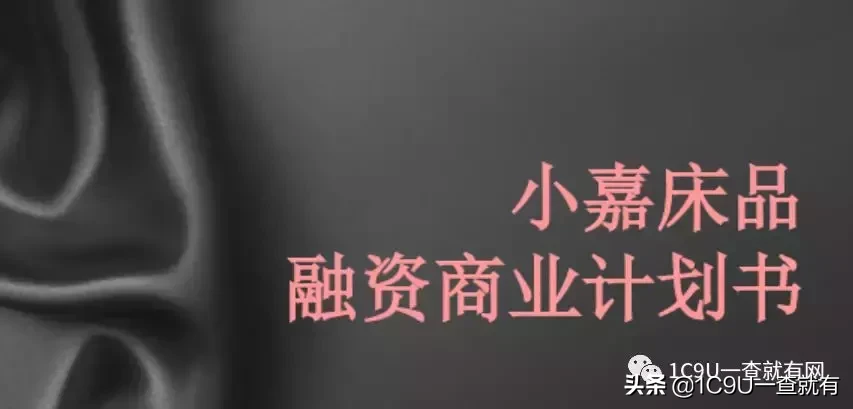 2019年新型电商平台类企业商业模式全研究 电商平台类商业计划书