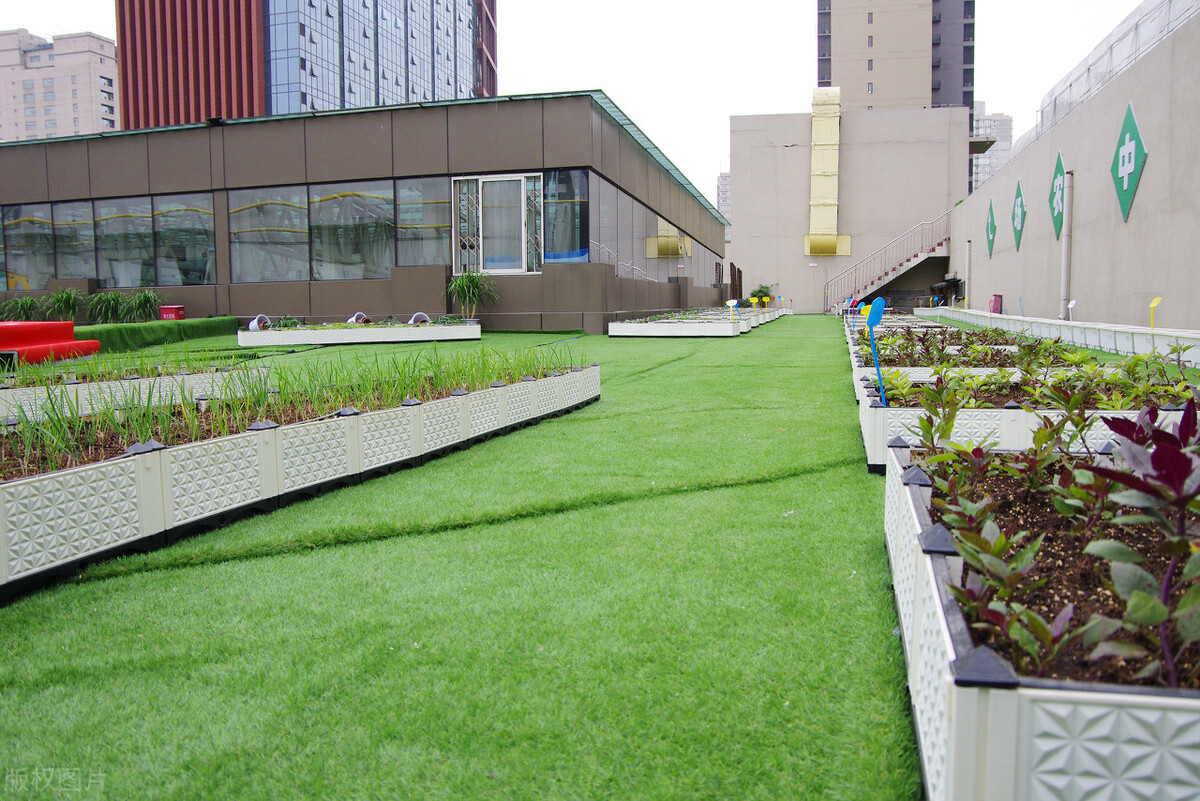 今年是河北新高考第一年，这四所大学在河北招生存在“断档”现象