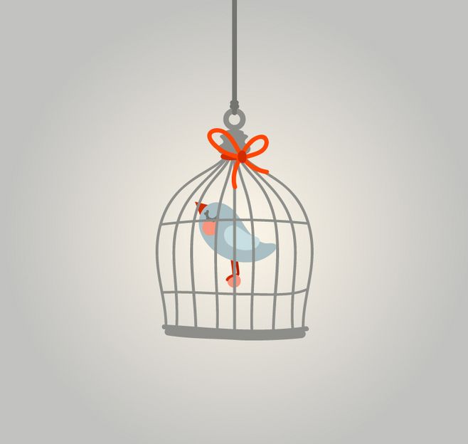 《笼中鸟》：鸟儿难过是因失去自由，家庭主妇难过全是“不知足”