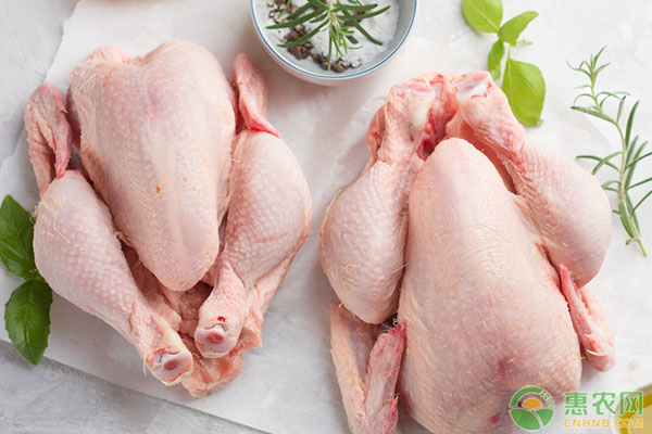 12月鸡肉价格走势预测分析