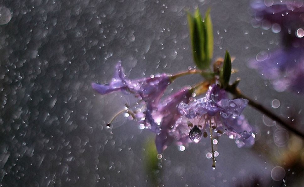 当暴雨遇见古诗词，十五首有关暴雨的诗词，欣赏暴雨的气势与景象