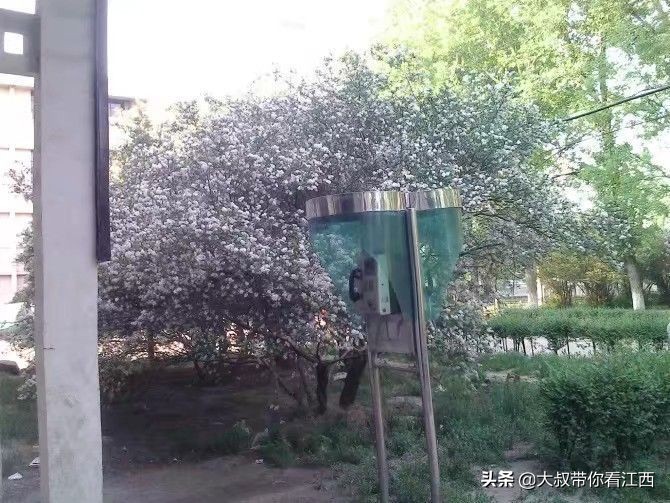 大同医专校园回忆