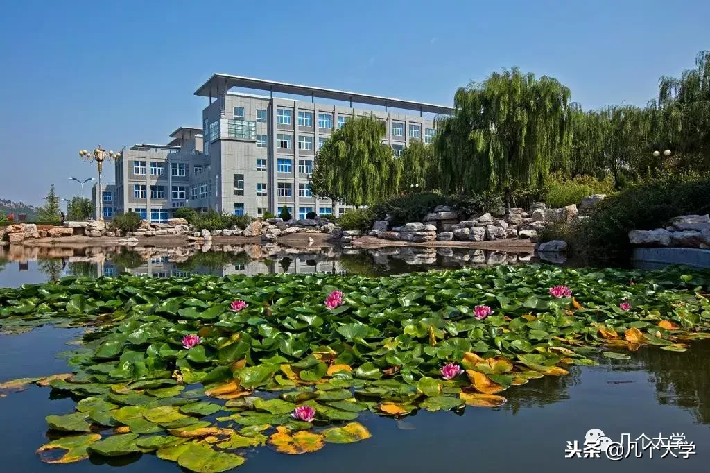 几个大学2019｜济南职业学院