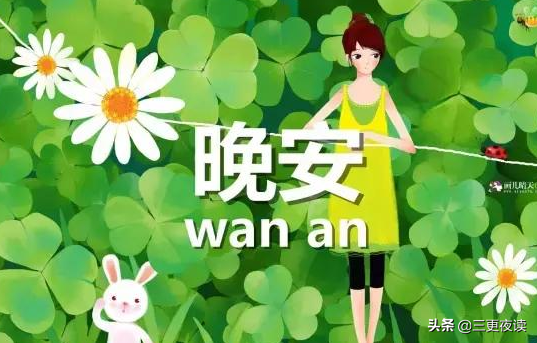 晚安心语：活得太认真，所以很痛苦