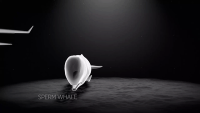 史前时代10大猛兽，霸王龙恐鳄巨齿鲨哪个最强？地球史前巨兽系列