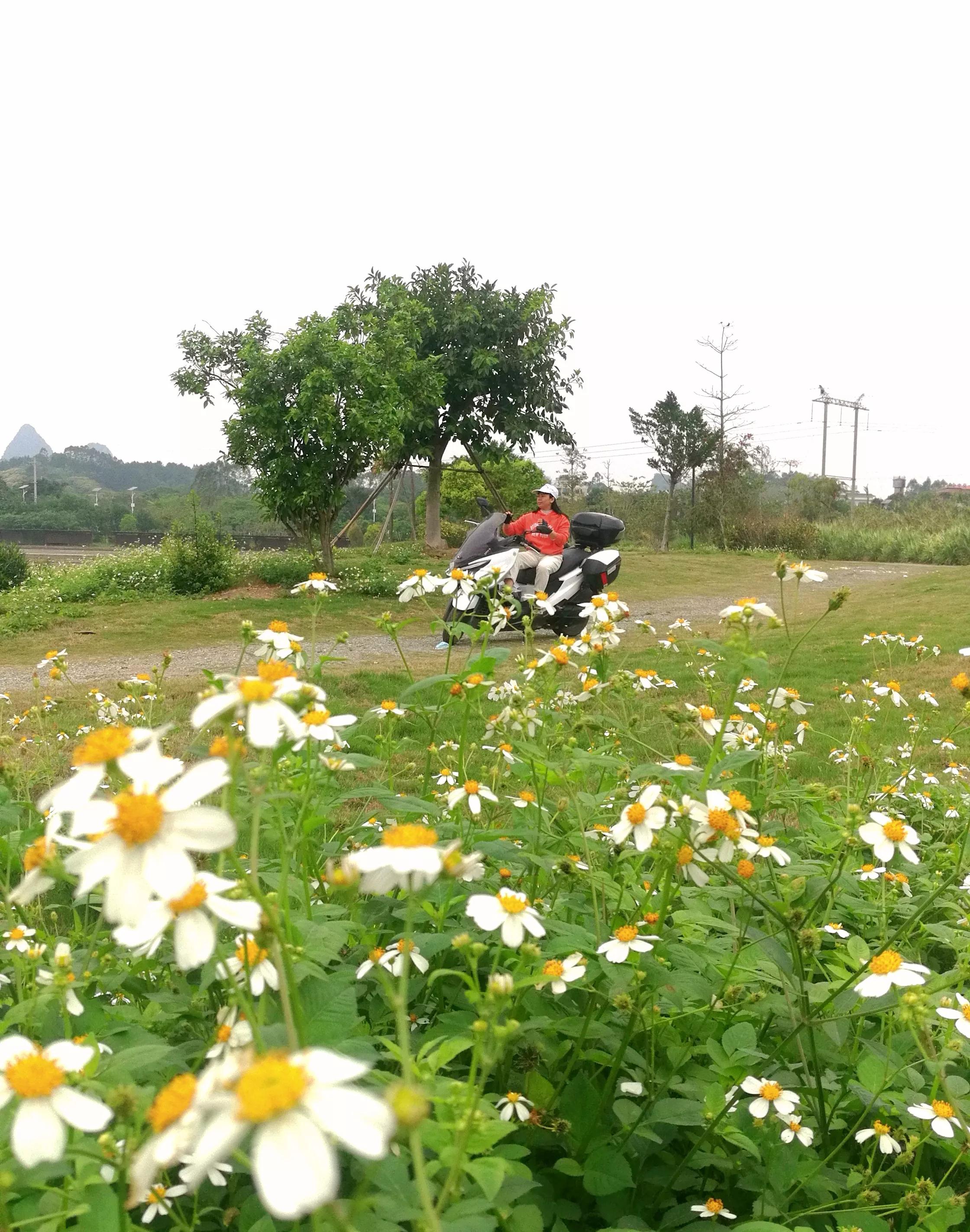 不登钓鱼岛，也要登爱情岛