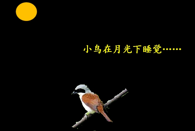 小学语文一年下册《夜色》知识积累、能力扩展训练（二）