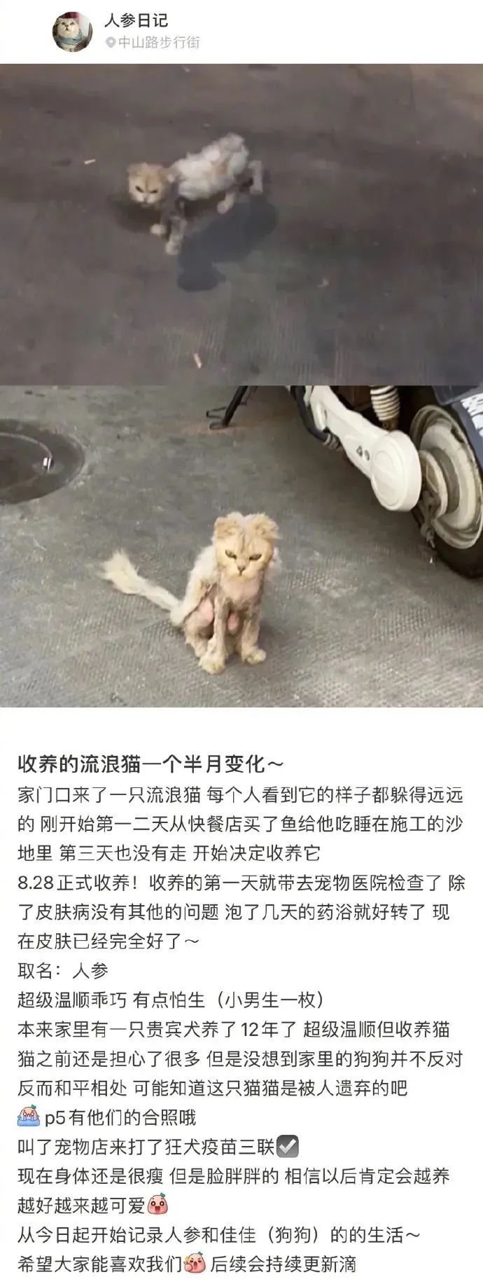 路边货车司机累得像狗一样，网友把照片发出来，笑翻：太形象了