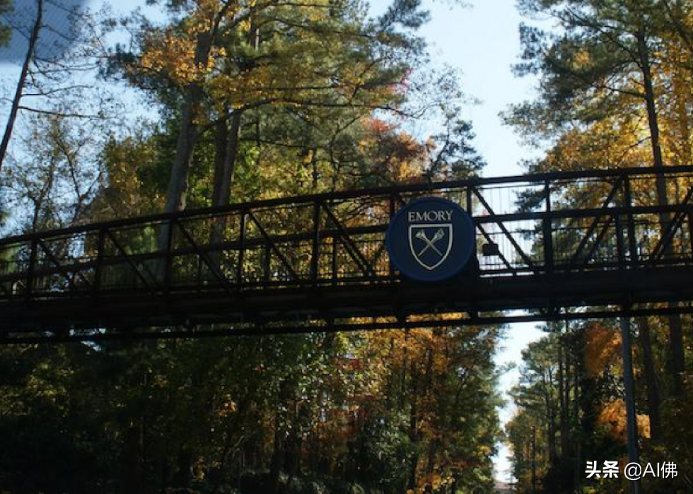 深秋初冬美国 50 个美如画的大学校园