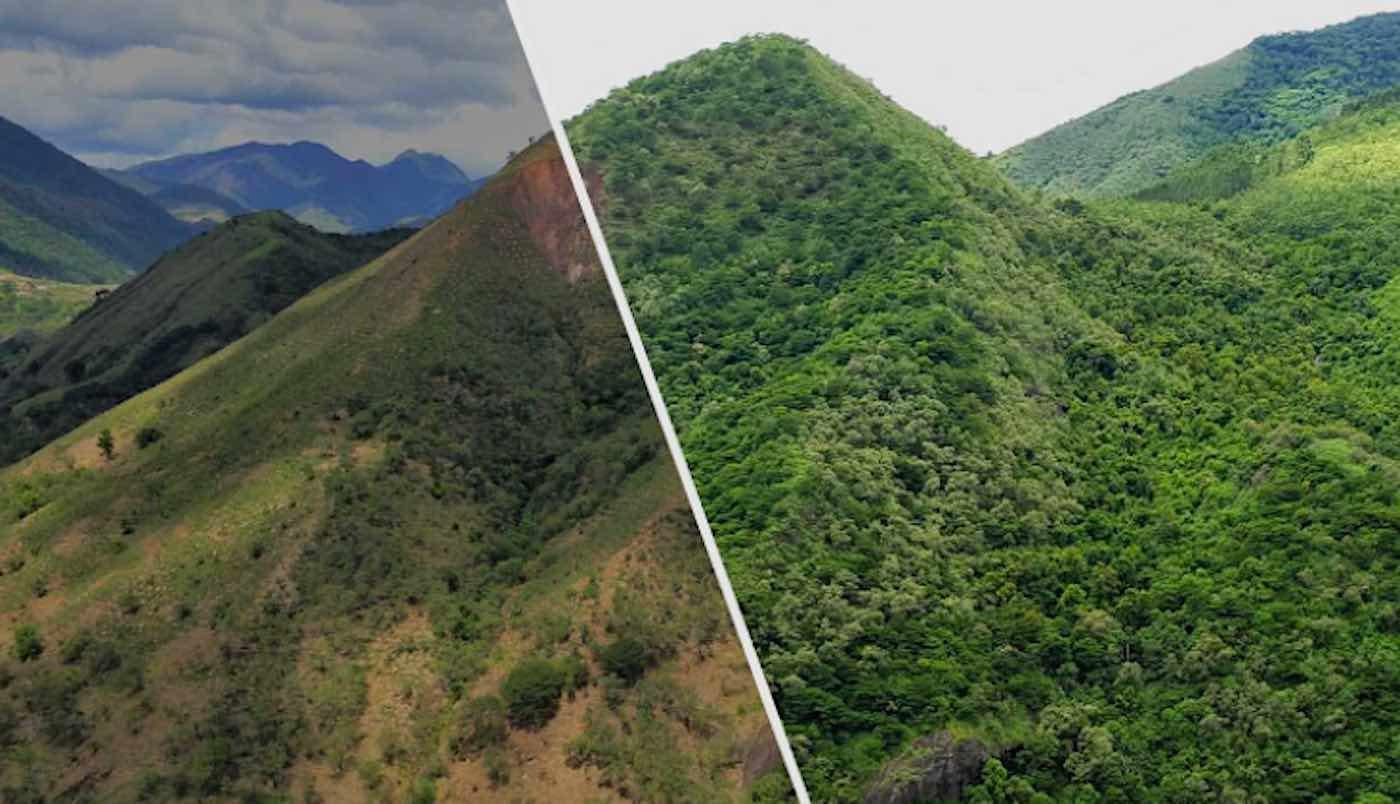科学家发现地球正变绿，生机勃发彰显自然奇迹与生态复苏的壮丽赞歌