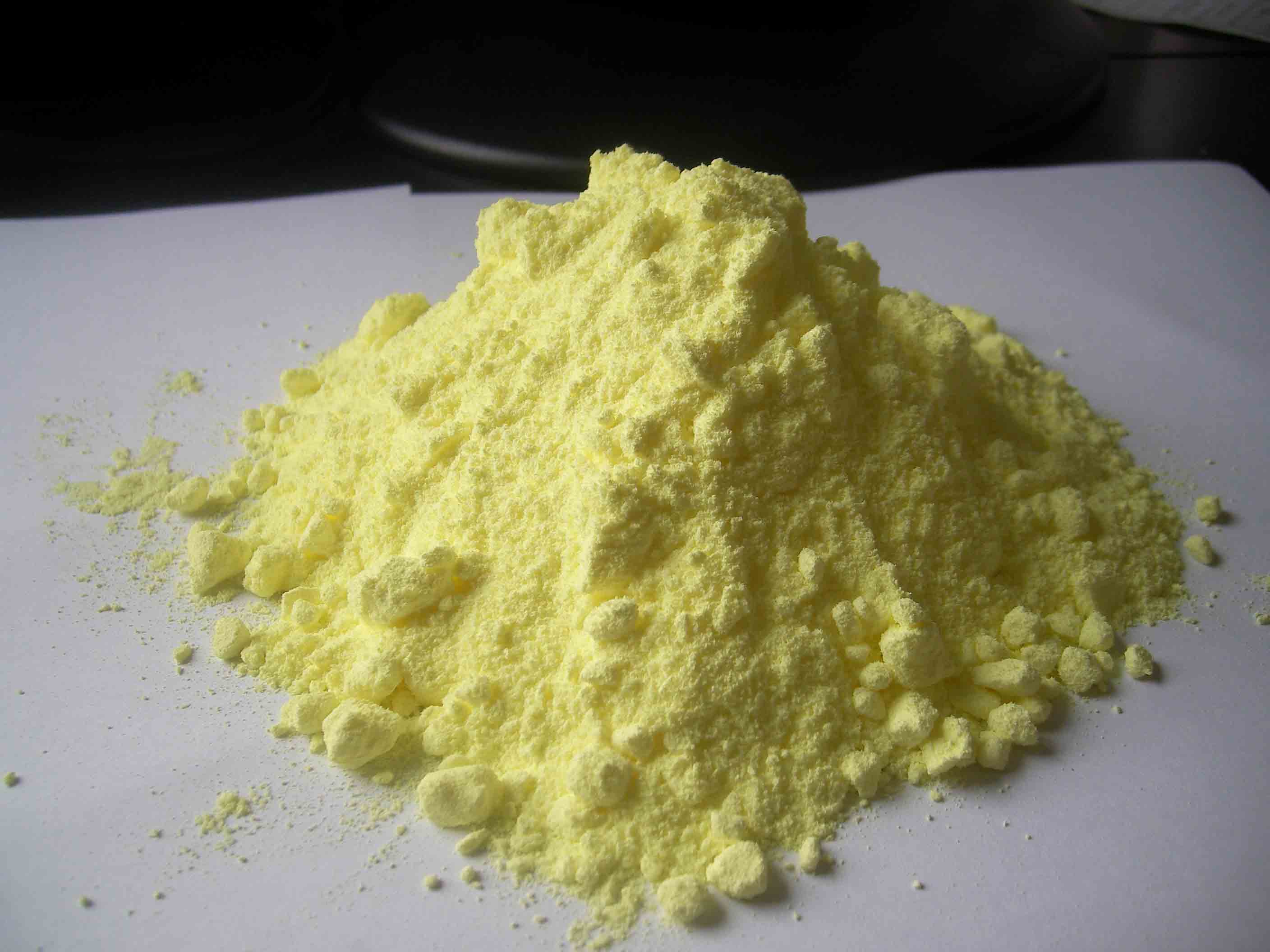 女子与蛇同居15年黑龙江女子与蛇同居15年