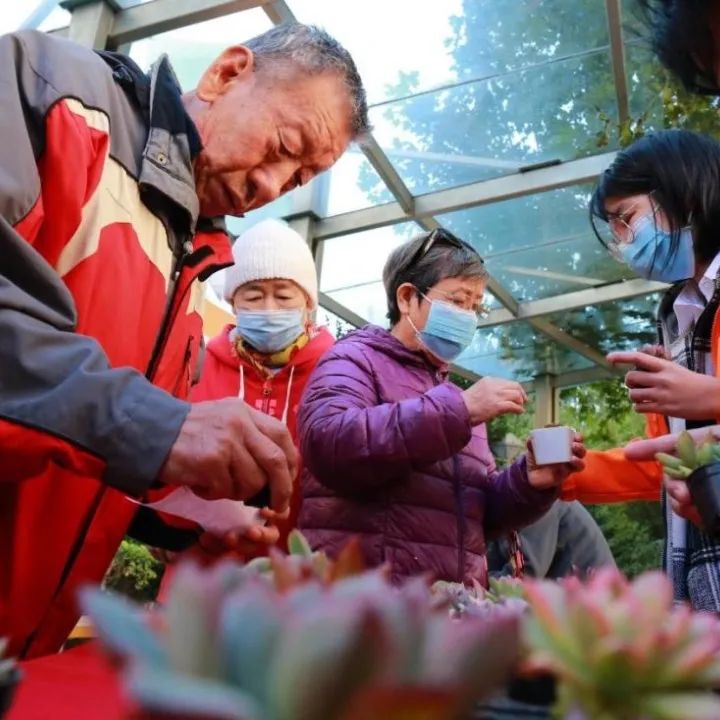 九九重阳月 相聚南线阁 |“积极养老”乐活社区你我相伴