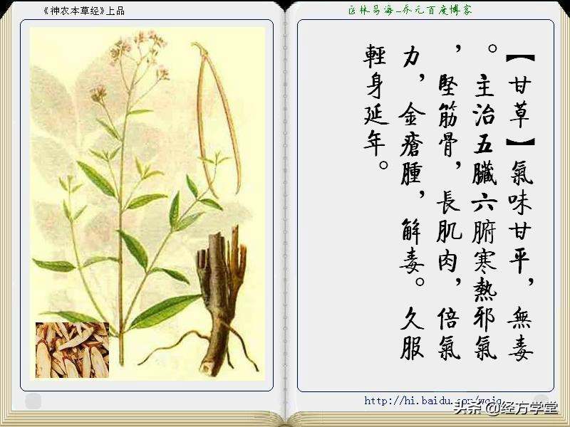 《神农本草经》全册图文解析 建议收藏