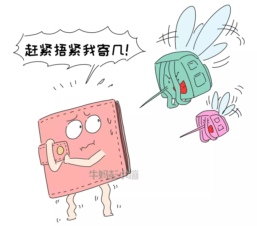 老大私立学校，老二公立学校，谈谈两者的差异和优势