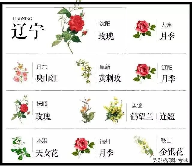 中国城市市花大全(我国204个城市市花大全，看花涨知识，你市什么花？)