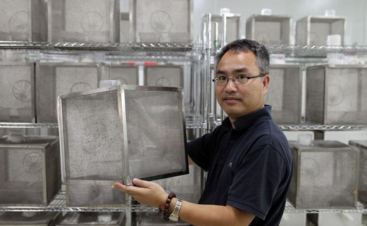 中国的三大黑科技：液态金属有生命、沙漠加水变良田、蚊子在绝育