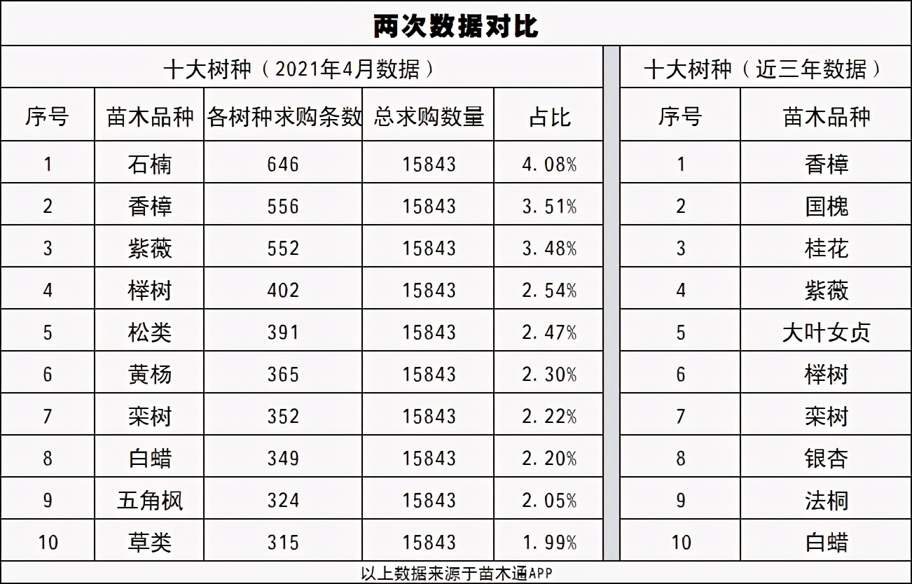 五角枫价格一览表(「内部泄密」最近一个月成交量最高的十大树种排行榜)