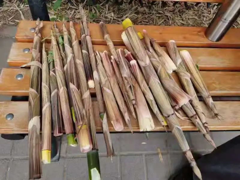 连续性大风天气来袭，阵风9-10级 | 两地发公告急寻密接者 | 比尔·盖茨离婚