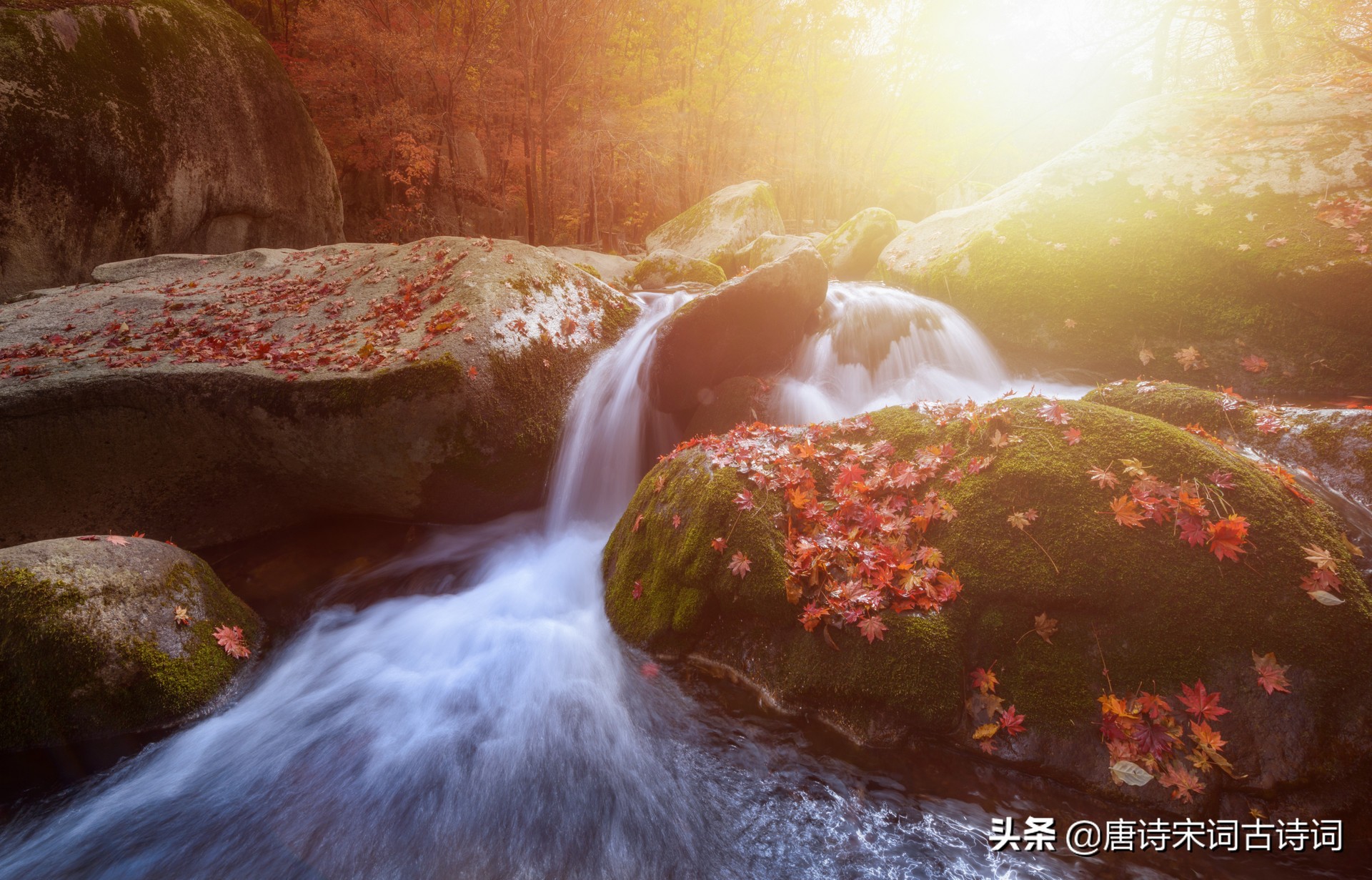 江間波浪兼天湧,塞上風雲接地陰.叢菊兩開他日淚,孤舟一系故園心.