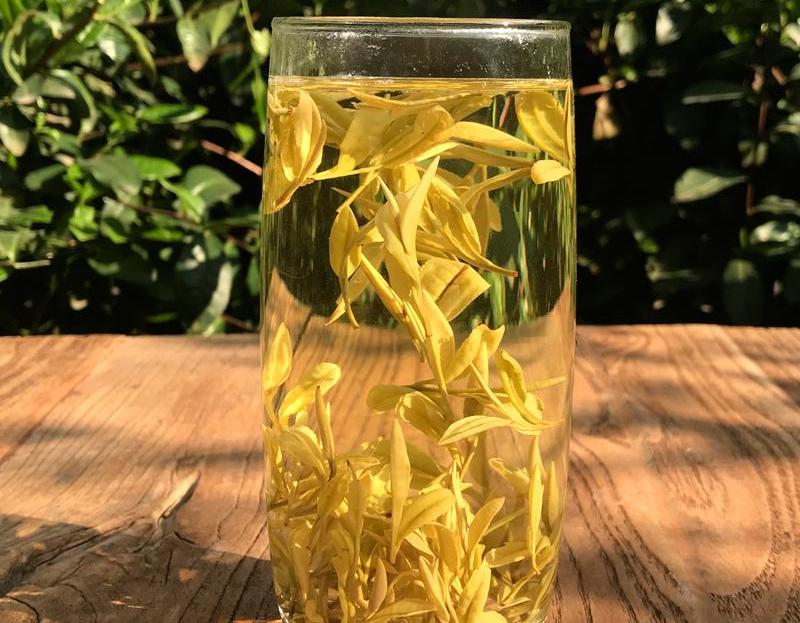 黄金芽,茶叶中的大熊猫