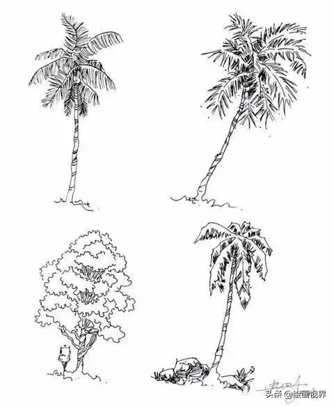 干货！教你15种速写植物配景画法，简单易学，学会画速写很简单