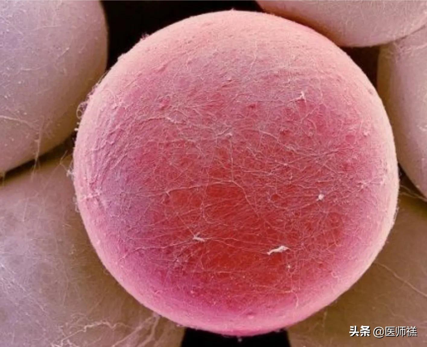 你知道吗，你的尿液里残留着农药成分，这些蔬菜的来源要深究