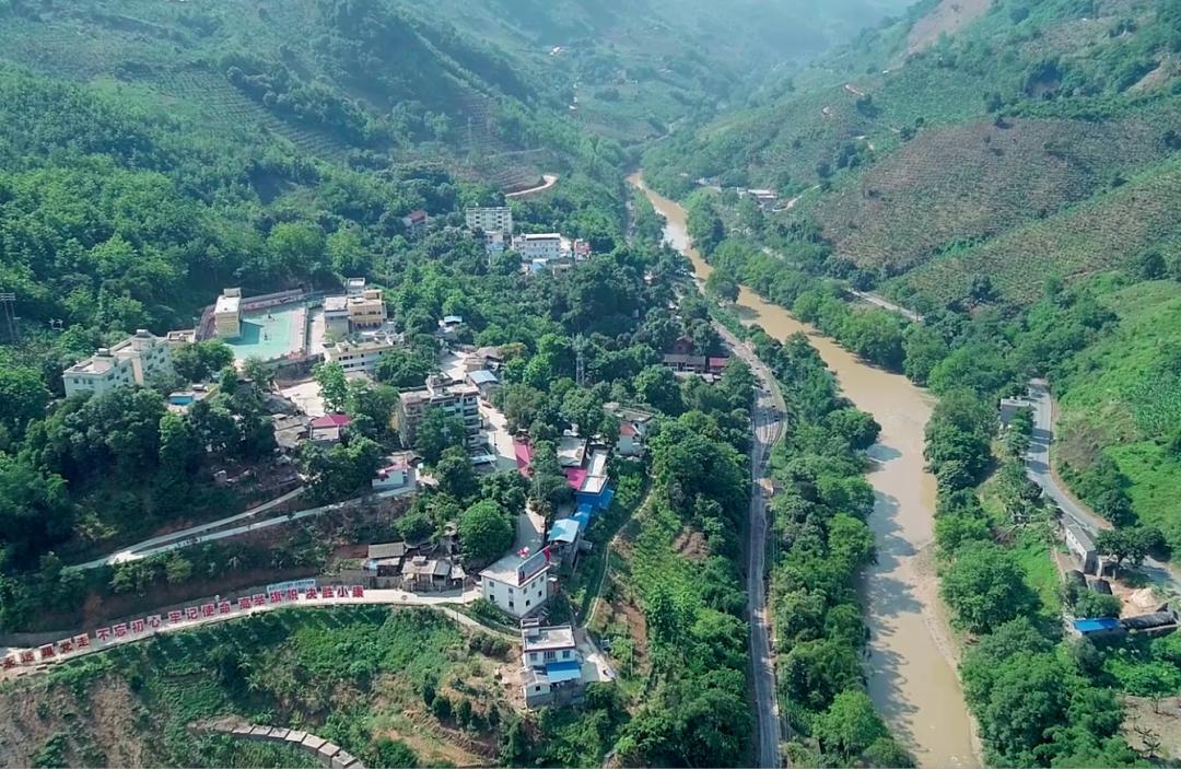 优质杂交稻旱种也得到大面积推广,特别是2021年农业农村部杂交稻旱种