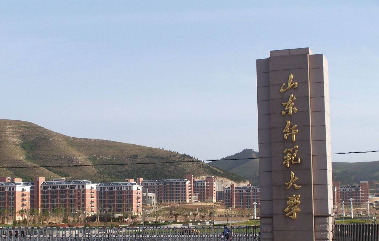 山东师范大学2020年艺术类专业招生简章