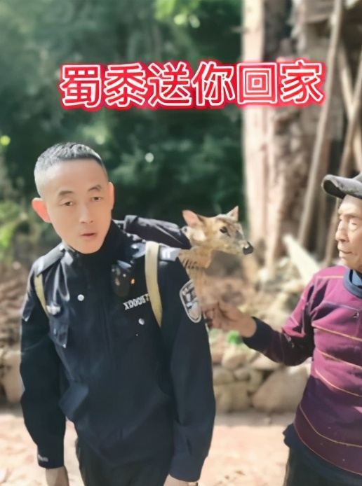 男子地铁猥亵女乘客，母亲下跪求谅解【三分钟法治新闻全知道】